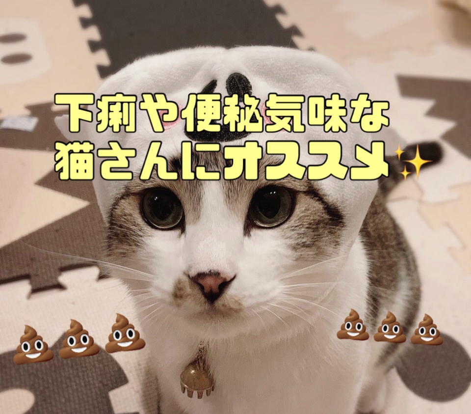 下痢や便秘気味な猫ちゃんにオススメサプリ(免疫力アップにも 